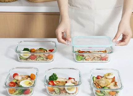 Borosilicate Glass Lunch Box Airtight Leakproof Bento Box Meal Prep Food Storage Containers with Locking Lid for Adults Office