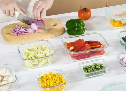 Borosilicate Glass Lunch Box Airtight Leakproof Bento Box Meal Prep Food Storage Containers with Locking Lid for Adults Office